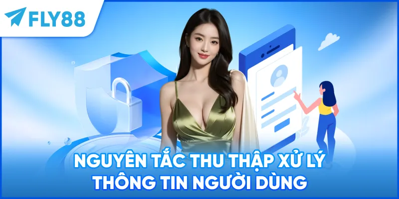 Nguyên tắc thu thập xử lý thông tin người dùng