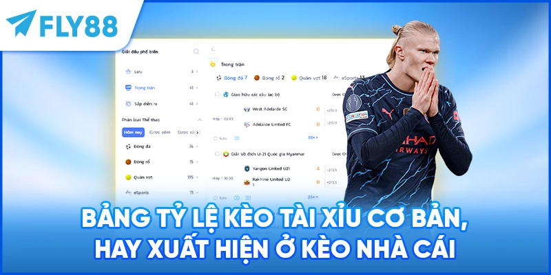 Bảng tỷ lệ kèo tài xỉu cơ bản, hay xuất hiện ở kèo nhà cái