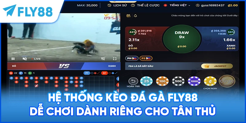 Hệ thống kèo đá gà FLY88 dễ chơi dành riêng cho tân thủ